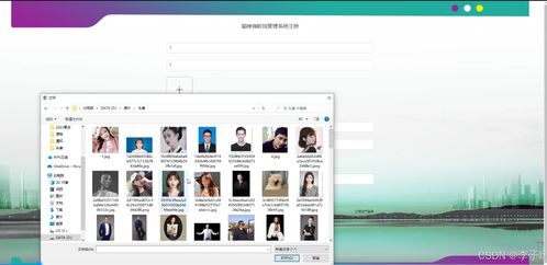 Spring Boot + Vue 貓咪咖啡館管理系統(tǒng) 技術(shù)融合與界面設(shè)計(jì)的現(xiàn)代化探索